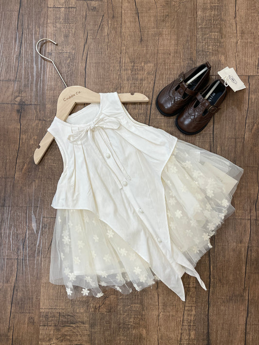 Mesh Embroidery Dress